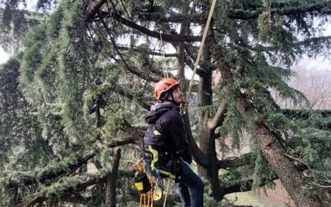 Enaip Monticello: corsi di tree climbing e utilizzo di prodotti fitosanitari