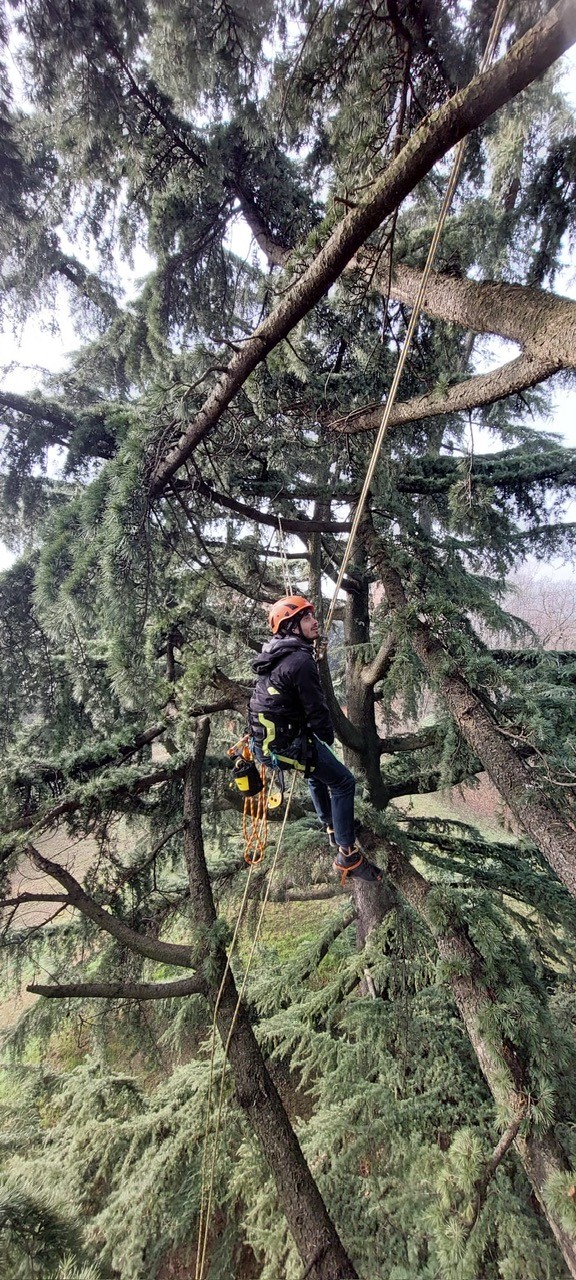 Enaip Monticello: corsi di tree climbing e utilizzo di prodotti fitosanitari