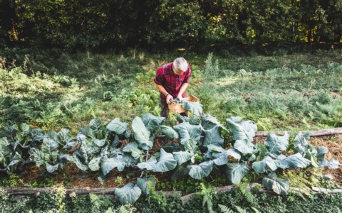 Cascina Rapello: corsi di naturopatia e orto biologico a marzo