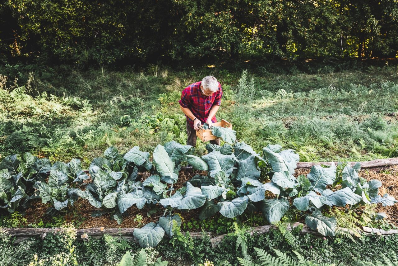 Cascina Rapello: corsi di naturopatia e orto biologico a marzo