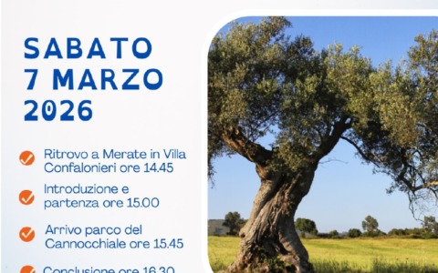 Domani a Merate si svolgerà la marcia per la pace