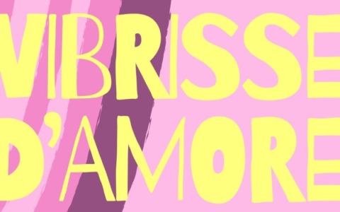 Il Centro Anziani Teodolinda festeggia la Giornata della Donna con Vibrisse d’Amore