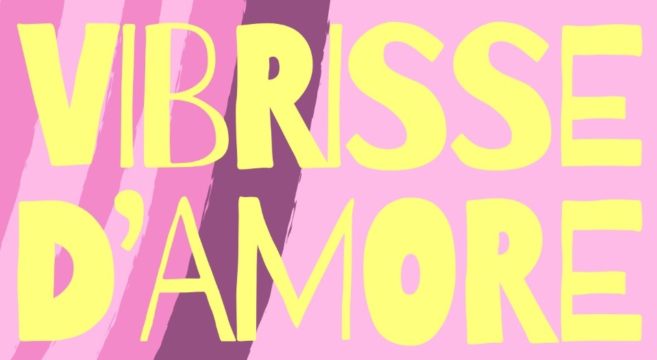 Il Centro Anziani Teodolinda festeggia la Giornata della Donna con Vibrisse d’Amore