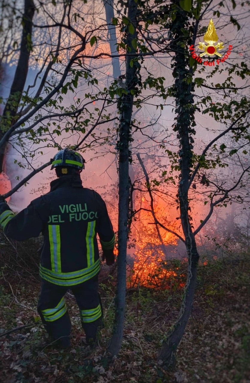 Incendi boschivi: divieti rigorosi e controlli intensificati sul territorio