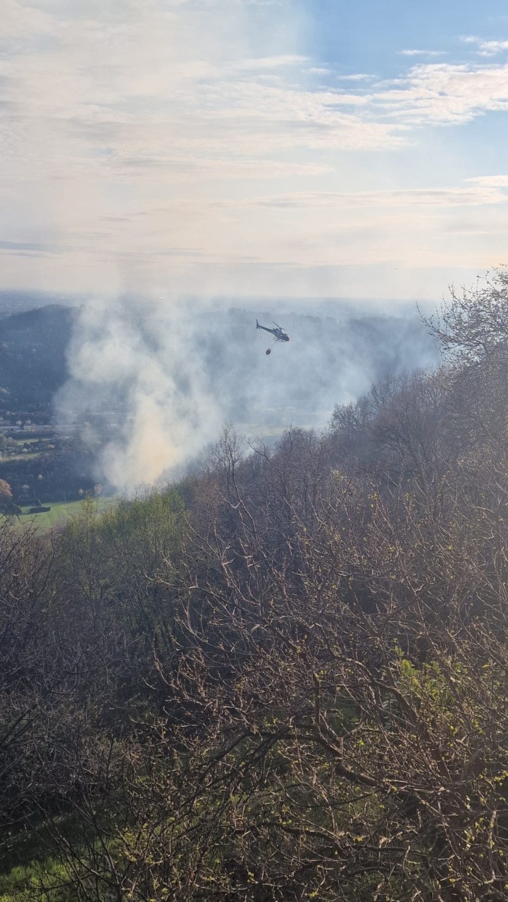 Incendio nel bosco: nuovo intervento dei Vigili del Fuoco FOTO e VIDEO