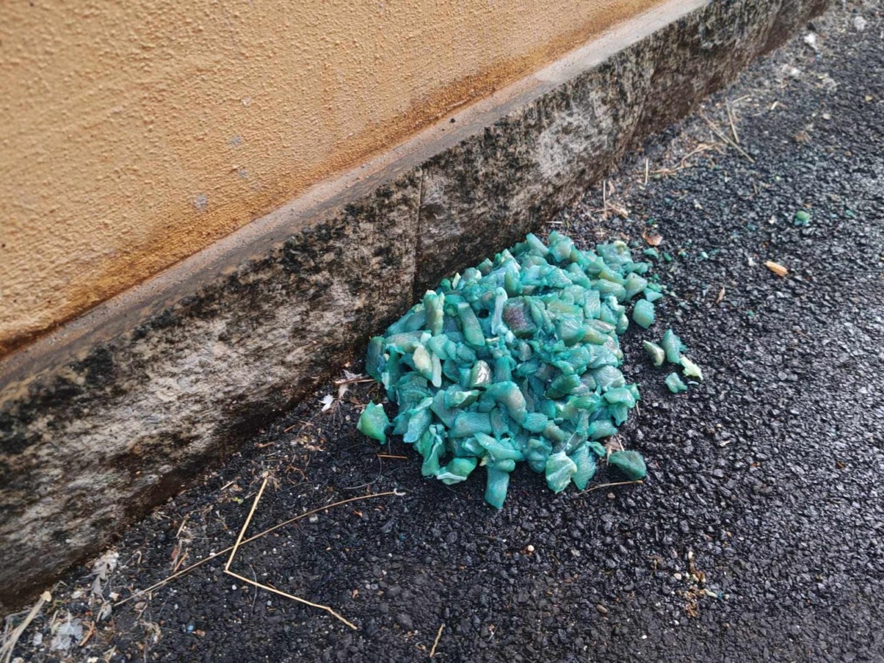 Ritrovati bocconi avvelenati a Casatenovo