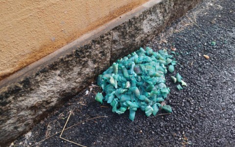 Ritrovati bocconi avvelenati a Casatenovo