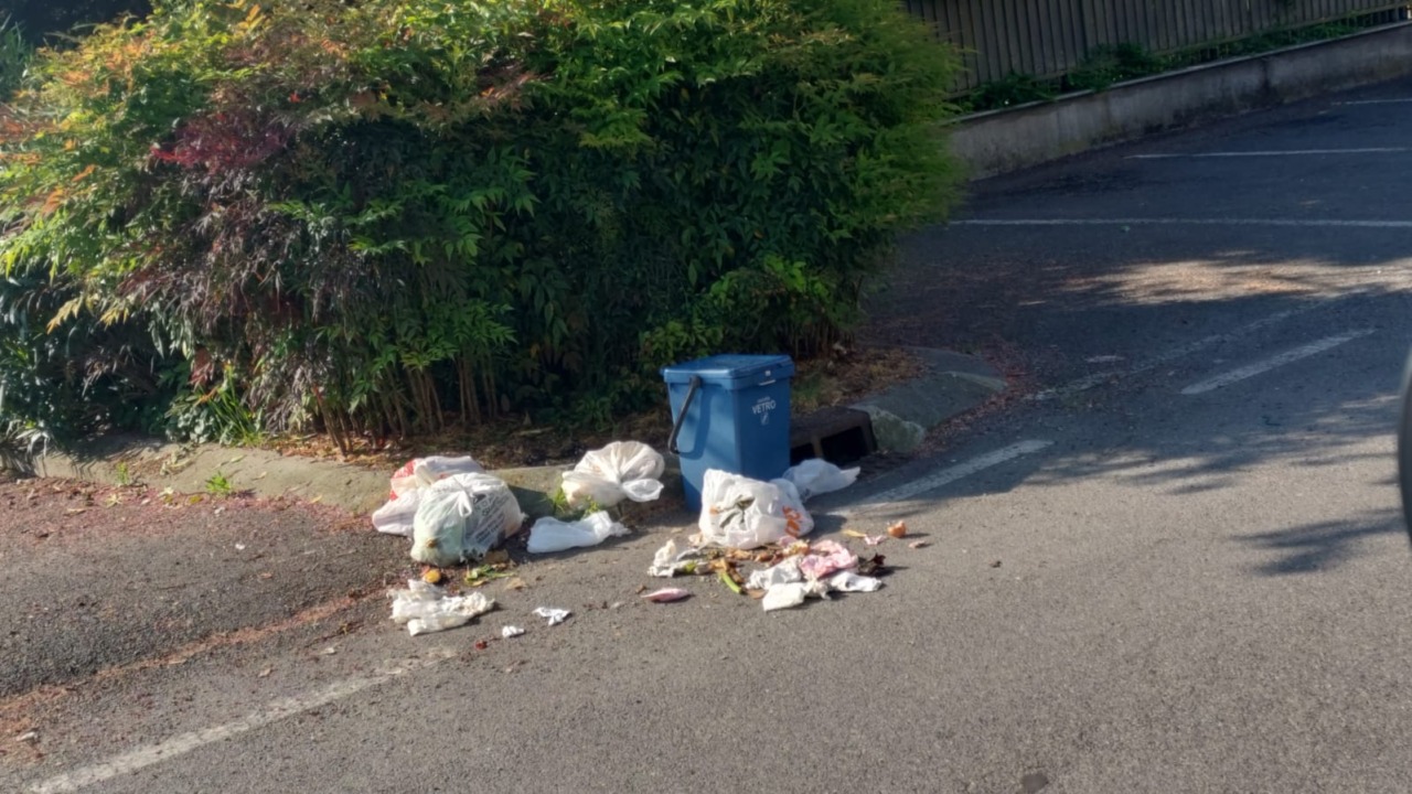 A Montevecchia crescono i controlli contro l’abbandono dei rifiuti