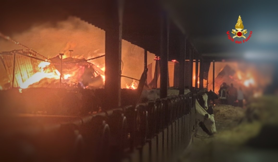 Devastante incendio in un’azienda agricola a Paderno d’Adda: ecco le immagini