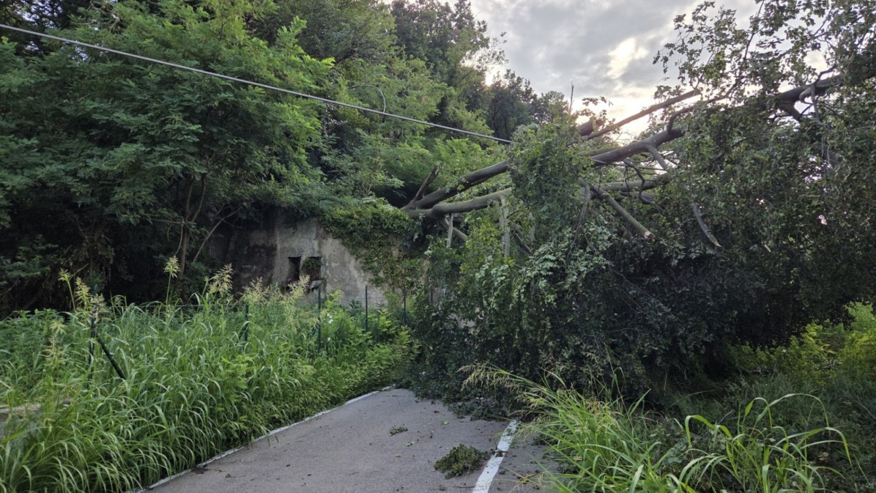 Chiusura di via Conte Taverna a Bulciago per caduta albero