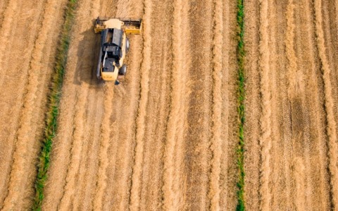 Coldiretti: “Investire nel verde urbano per rendere le città più fresche e vivibili”