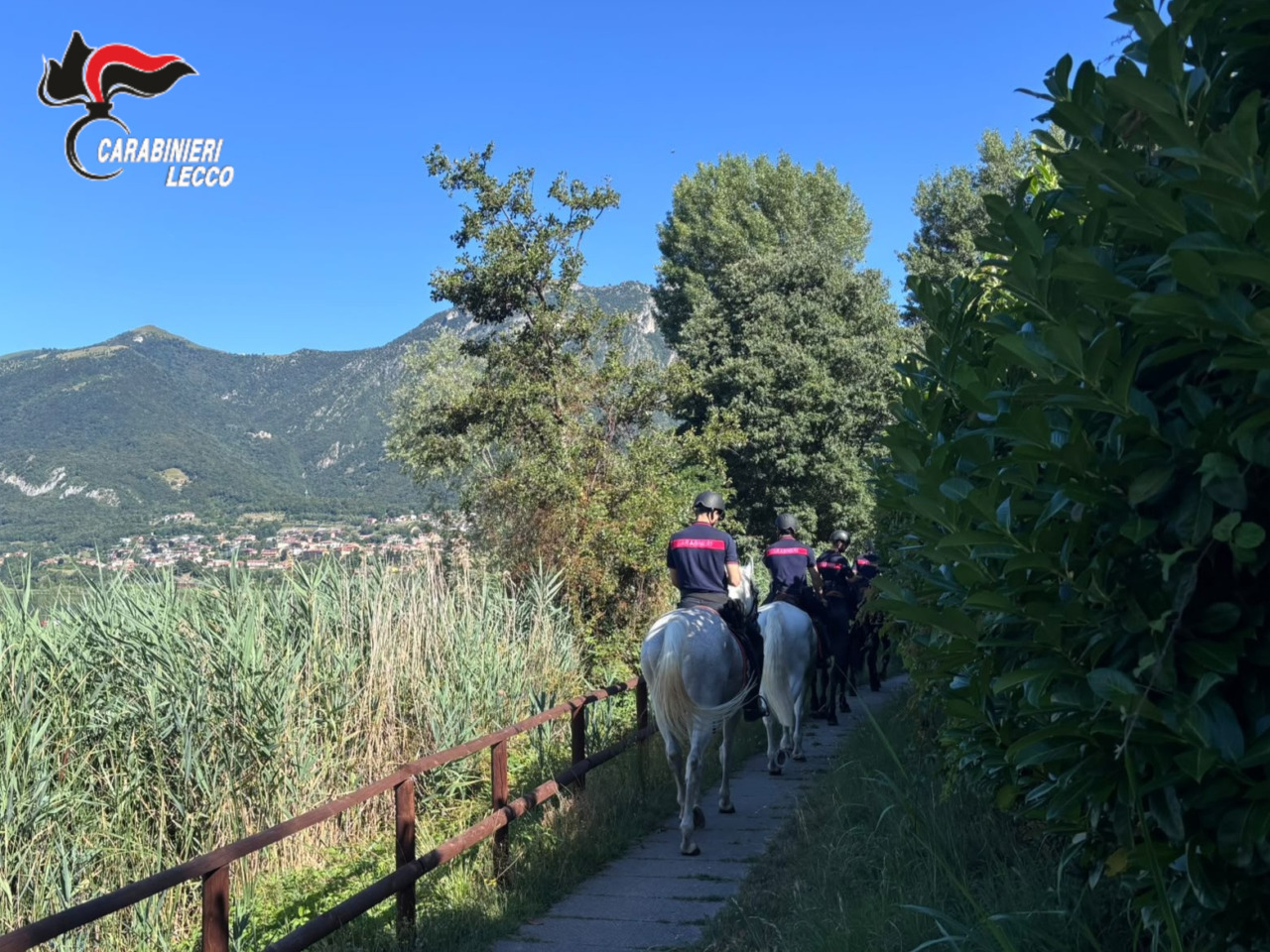 Controlli straordinari dei Carabinieri a cavallo contro lo spaccio nelle aree boschive