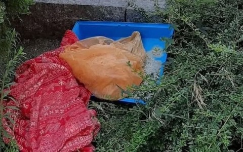 Due ragazze multate per rifiuti abbandonati in un’aiuola