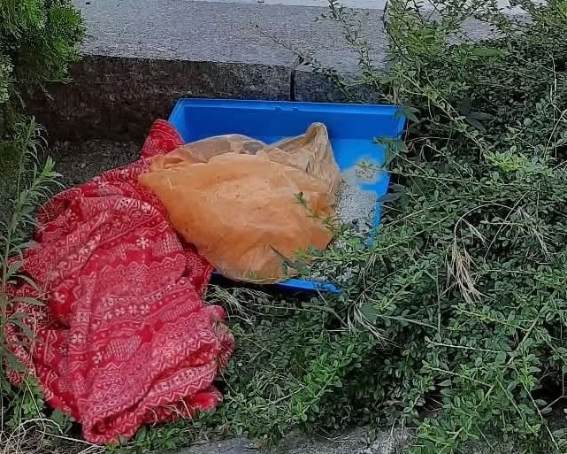 Due ragazze multate per rifiuti abbandonati in un’aiuola